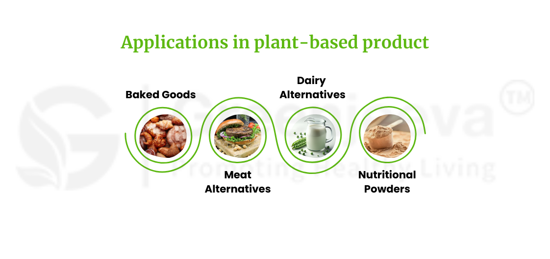 Pea Protein Powder: A Versatile Ingredient for Plant-Based Product De